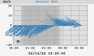 Wind Vector