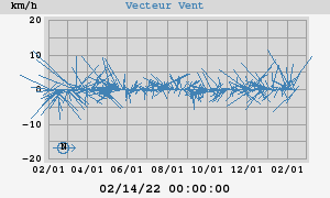 Wind Vector